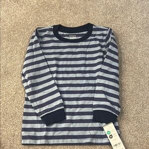 Carter's Blue and Gray Striped Long Sleeve Tee